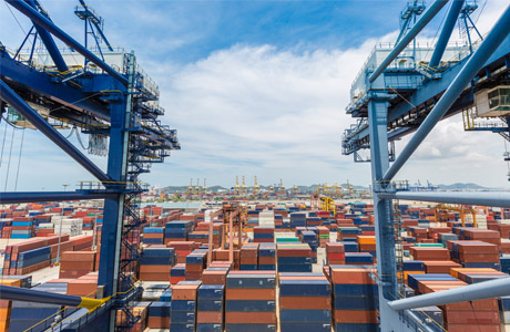 Operador logístico Alfandegado