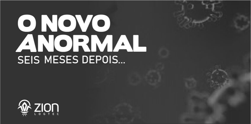 O Novo “Anormal” – seis meses depois